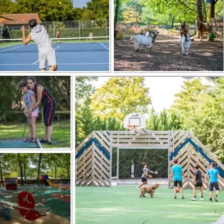 Campingplads Cosy Bassin D'arcachon *
